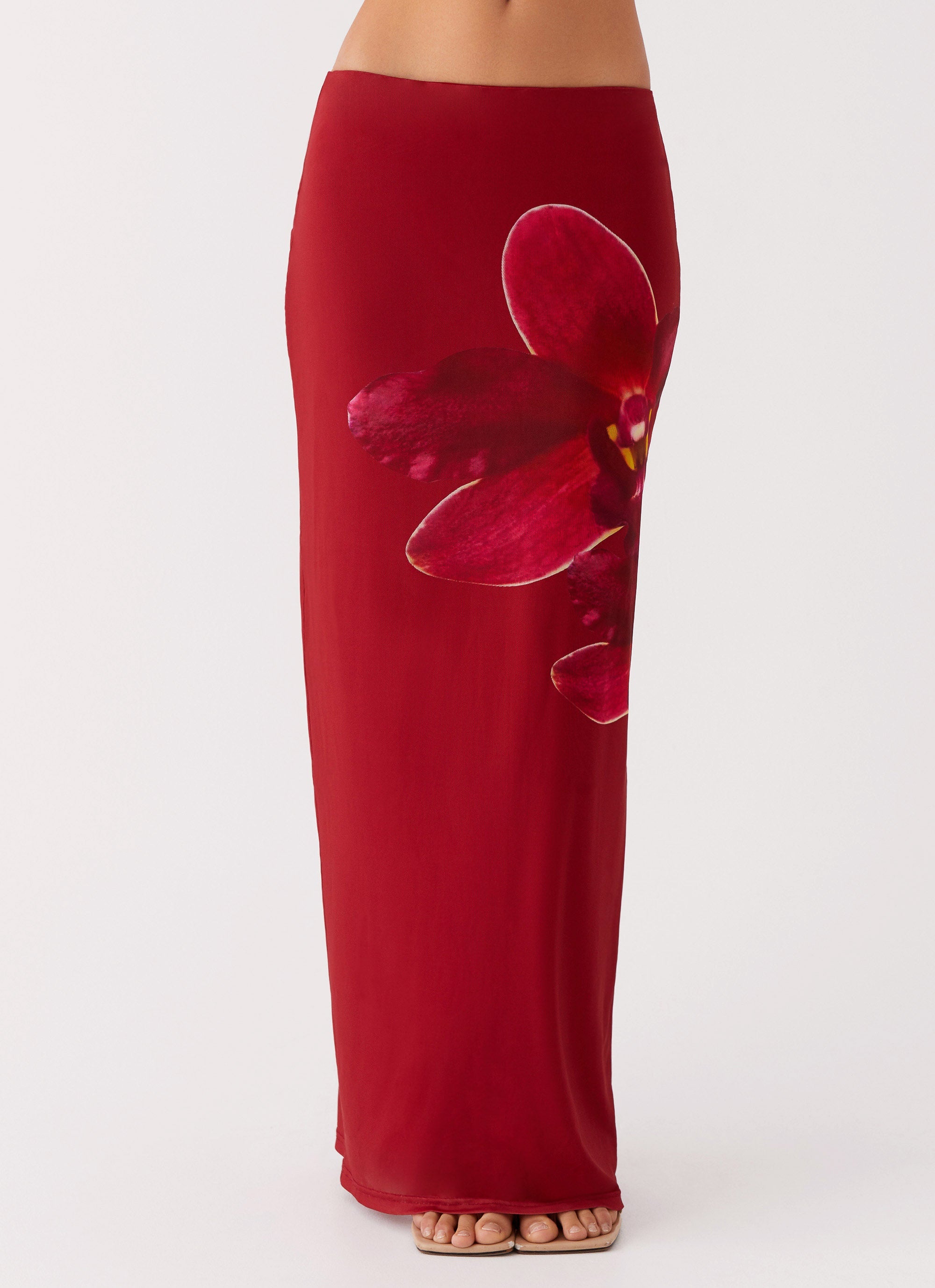 Waiting For Dawn Mesh Maxi Skirt - Rosa